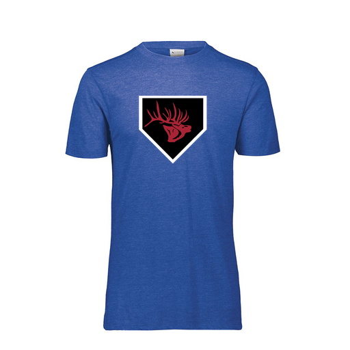 [FTSCUBRY-YS-LOGO1] Decker Youth Tri-Blend T-Shirt - Short Sleeve (Youth S, Royal, Logo 1)